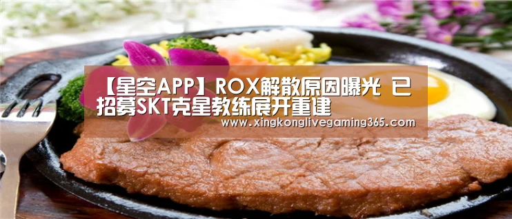 【星空APP】ROX解散原因曝光 已招募SKT克星教练展开重建