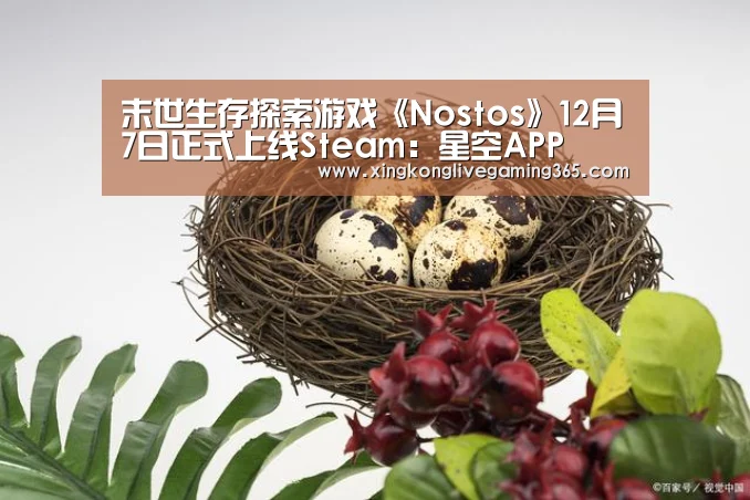 末世生存探索游戏《Nostos》12月7日正式上线Steam:星空APP(图3) 星空官网