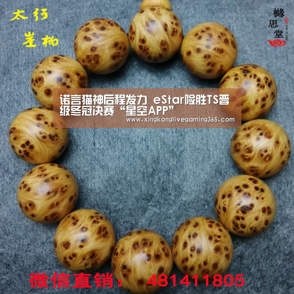 诺言猫神后程发力 eStar险胜TS晋级冬冠决赛“星空APP”