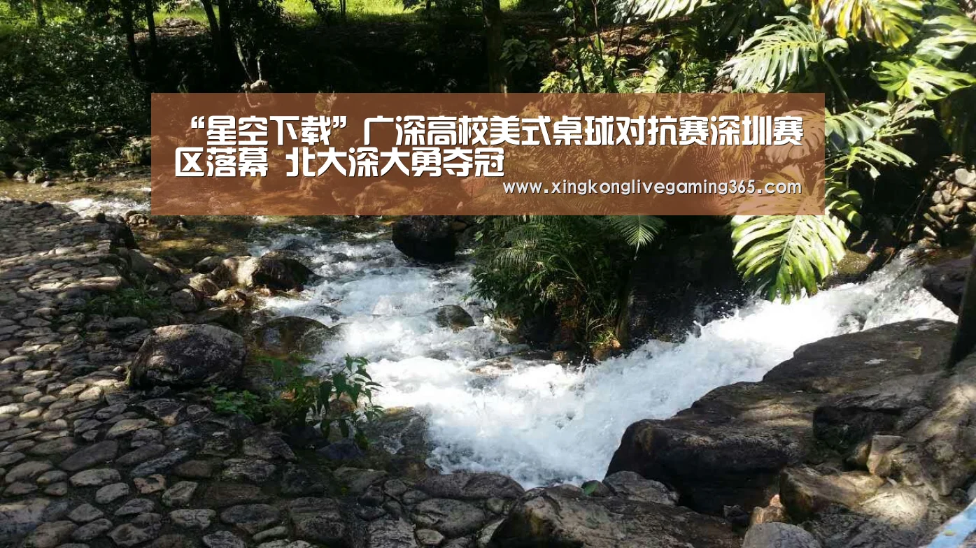 “星空下载”广深高校美式桌球对抗赛深圳赛区落幕 北大深大勇夺冠